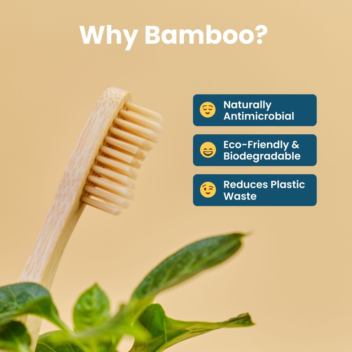 Gengyve Bamboo Toothbrush